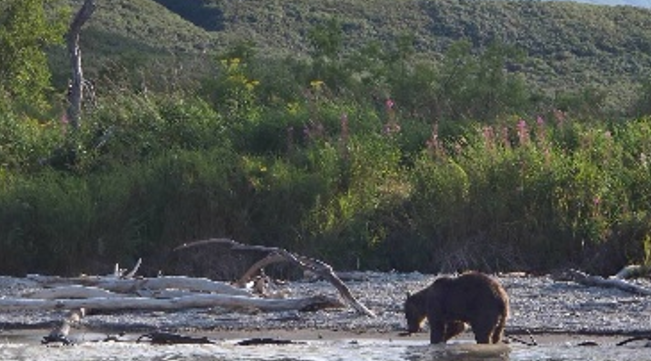 庫頁湖國家公園遊船之旅
