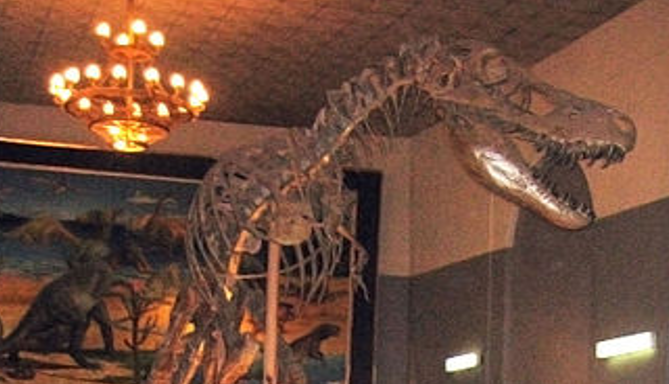 蒙古國家自然博物館