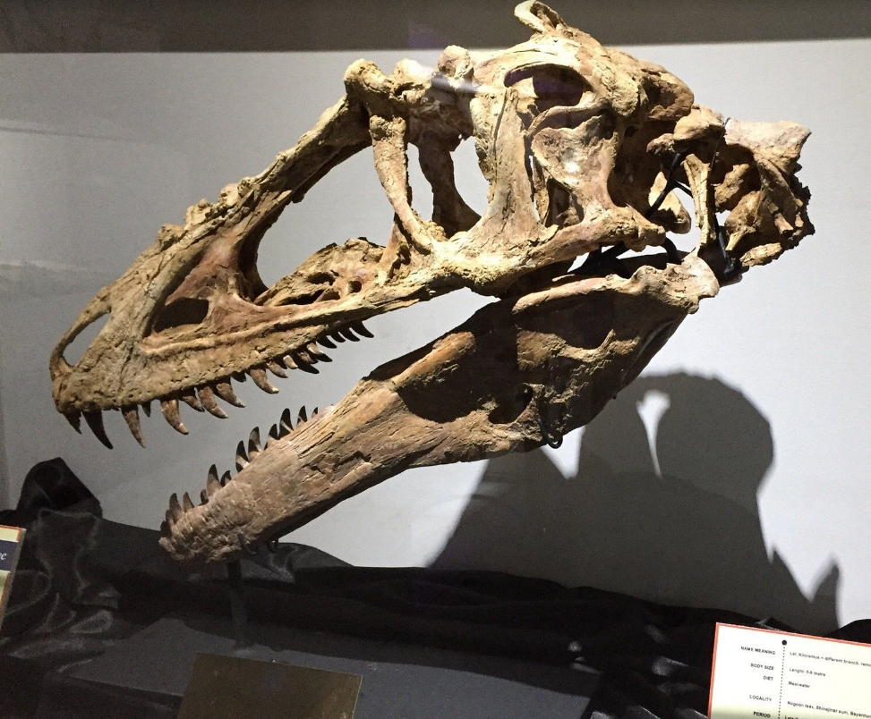 蒙古國家自然博物館