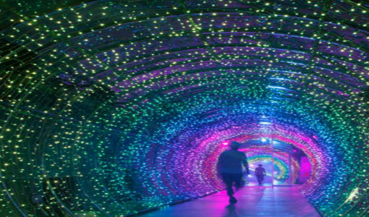 丹陽垂楊介光之隧道