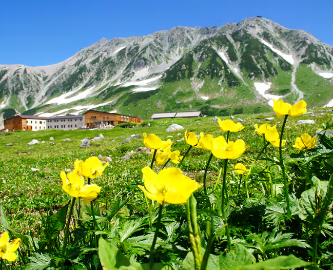 立山黑部阿爾卑斯山脈路線