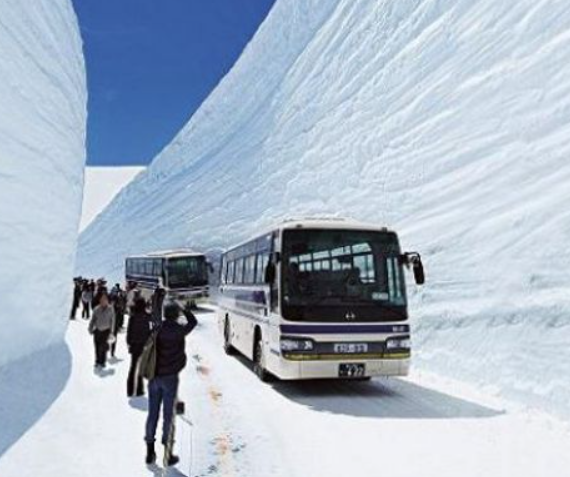 雪之大谷、室堂（立山主峰）～立山高原巴士