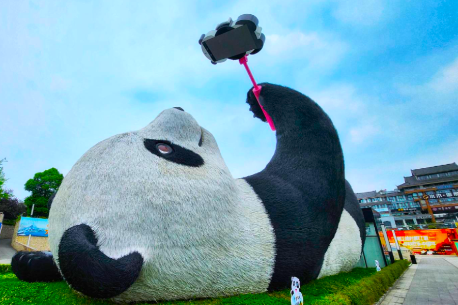 仰天窩網紅自拍熊貓