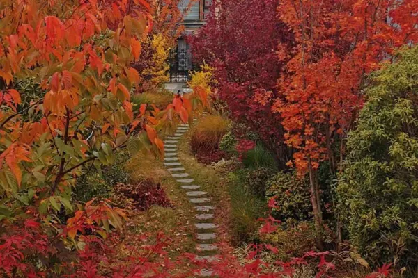 金林豪生大酒店