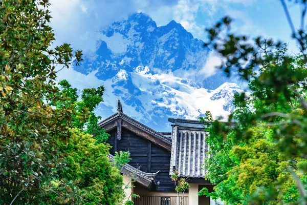 金林豪生大酒店