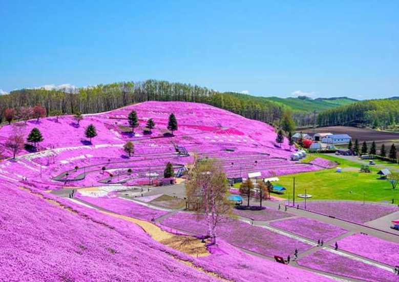 東藻琴村