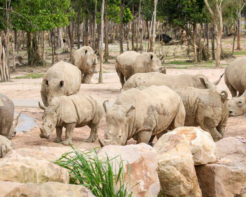 珍珠野生動物園