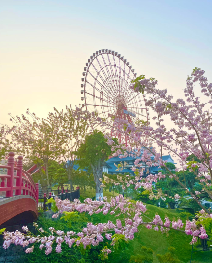 浪漫錦鯉橋
